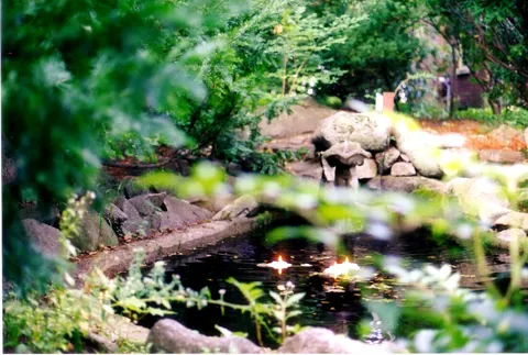Floating candles on the garden pond among the rocks and greenery